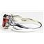 SR243, Garnet CZ, 925 Sterling Silver Ring