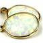 14k Gold Leverback Earrings, Created White Opal, E201