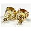 14k Gold Post Earrings, Citrine, E212