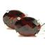 925 Sterling Silver Threader Earrings, Mozambique Garnet, SE003