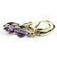 14k Gold Leverback Earrings, Amethyst, E001