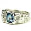 925 Sterling Silver Men's Nugget Ring, Neptune Garden Topaz, SR197
