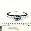 SR362, Neptune Garden Topaz, 925 Sterling Silver Ladies Ring
