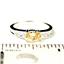 SR362, Champagne CZ, 925 Sterling Silver Ladies Ring