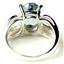 SR361, Neptune Garden Topaz, 925 Sterling Silver Ladies Ring