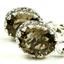 925 Sterling Silver Crown Bezel Leverback Earrings, Smoky Quartz, SE109