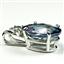 925 Sterling Silver Pendant, Neptune Garden Topaz, SP019
