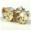 925 Sterling Silver Post Earrings, Champagne CZ, SE102