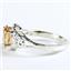SR302, Champagne Cubic Zirconia, 925 Sterling Silver Ring