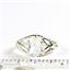 SR137, Rainbow Moonstone, 925 Sterling Silver Ring