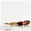 14k Gold Leverback Earrings, Mozambique Garnet, E001