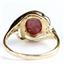 10K or 14K Gold Ladies Ring w/ Accents, Star Ruby, R021