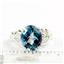 SR243, Neptune Garden Topaz, 925 Sterling Silver Ring