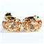 14k Gold Post Earrings, Champagne CZ, E002
