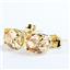14k Gold Post Earrings, Champagne CZ, E002