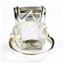 Sterling Silver Ladies Ring, 18x13mm Neptunes Garden Topaz, SR039