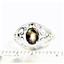 925 Sterling Silver Ladies Filigree Ring, Black Star Sapphire, SR111
