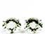 925 Sterling Silver Post Earrings, Green Amethyst, SE202