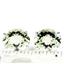 925 Sterling Silver Post Earrings, Green Amethyst, SE202