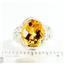 925 Sterling Silver Ladies Filigree Ring, Citrine, SR114