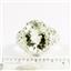 Green Amethyst,  925 Sterling Silver Ladies Ring, SR114