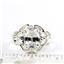 Cubic Zirconia, 925 Sterling Ladies Ring, SR169