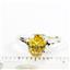 Golden Yellow CZ,925 Sterling Silver Ladies Ring, SR058