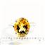 Sterling Silver Ladies Ring, Citrine, SR055