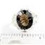 925 Sterling Silver Ladies Filigree Ring, Smoky Quartz, SR114