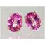 14k Gold Post Earrings, Pure Pink Topaz, E102
