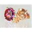 14k Gold Post Earrings, Twilight Fire Topaz, E102