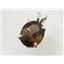 925 Sterling Silver Pendant, Twilight Fire Topaz, SP040