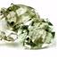 925 Sterling Silver Leverback Earrings, Green Amethyst, SE007