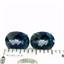 925 Sterling Silver Post Earrings, Neptune Garden Topaz, SE102