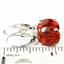 925 Sterling Silver Earrings, Created Padparadscha Sapphire, SE207