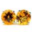 925 Sterling Silver Post Earrings, Citrine, SE012