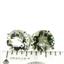 14k Gold Post Earrings, Green Amethyst, E112