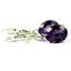 925 Sterling Silver Leverback Earrings, Amethyst, SE107