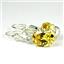 925 Sterling Silver Leverback Earrings, Golden Yellow  CZ, SE107