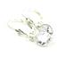 925 Sterling Silver Leverback Earrings, Cubic Zirconia, SE001