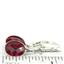 925 Sterling Silver Leverback Earrings, Created Ruby, SE101