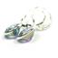 925 Sterling Silver Leverback Earrings, Neptune Garden Topaz, SE101