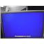 Apple Cinema Display  Mid 2004 20" WideScreen Monitor (1680x1050) A1081 *Matte*