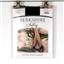 Berkshire Extra Wear Silky Sheer Control Top Pantyhose Ch Size & Color New 4527
