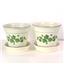 2 5" indoor Ceramic Flower Pot Planters Ivory w/ Ivy Leaf Accent