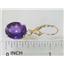14k Gold Leverback Earrings, Amethyst, E207