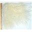 5 1/2 x 3 5/8 + " Natural White Tibetan lamb skin 4-6' hair 26871