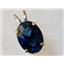 P084, Lab Sapphire 14k Gold Pendant