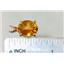P040, Citrine 14k Gold Pendant