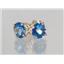 14k Gold Post Earrings, Neptune Garden Topaz, E012